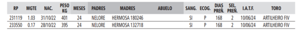 Lote LOTE 34