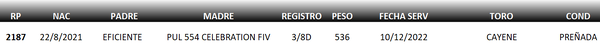 Lote LOTE 11