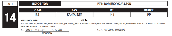 Lote LOTE 14