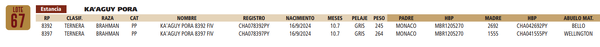 Lote LOTE 67