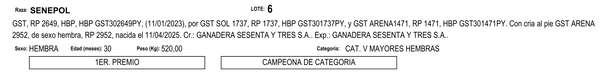 Lote LOTE 6