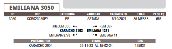 Lote LOTE 58