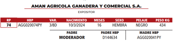 Lote LOTE 36