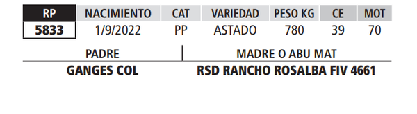 Lote LOTE 37