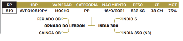 Lote LOTE 10