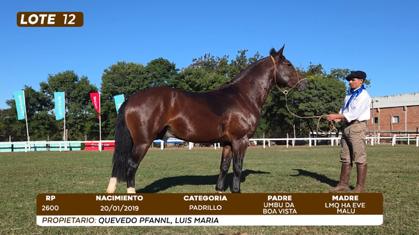 Lote LOTE 12