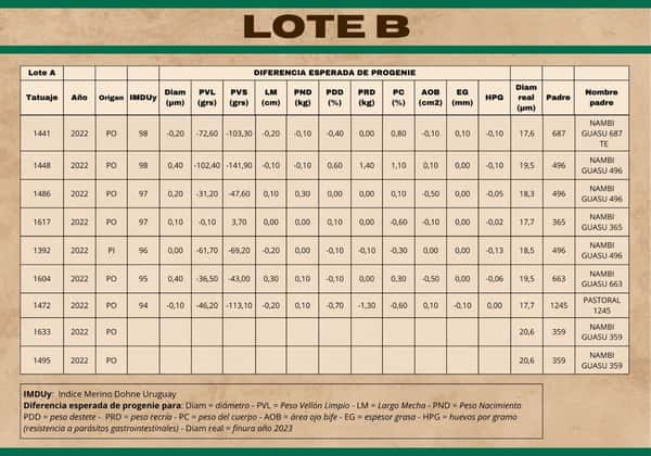 Lote Carneros a remate en Subasta Online - Nambi Guasu, Lavalleja