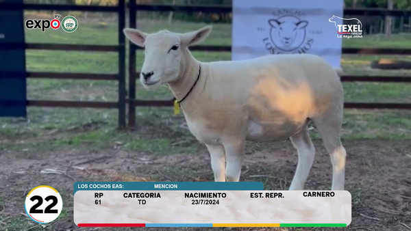 Lote LOTE 22