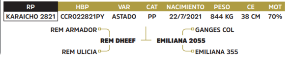 Lote LOTE 74