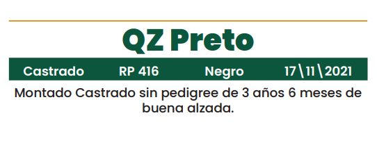 Lote LOTE 10