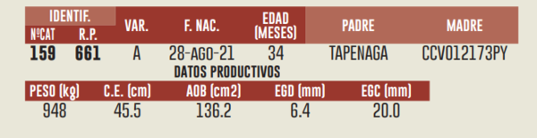 Lote LOTE 1- A VENTA EL 50%