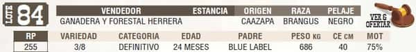 Lote LOTE 84 - EN VIVO