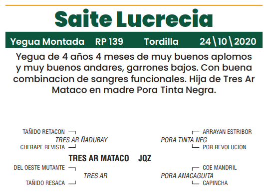 Lote LOTE 5