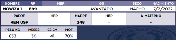 Lote LOTE 24