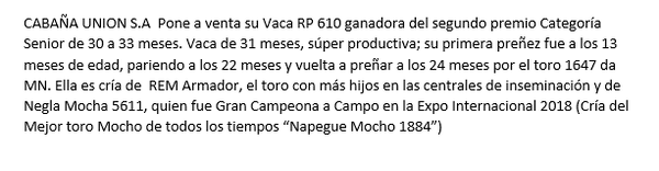 Lote Nelore a Bozal Expo Internacional 2022 RP 610- Lote 9