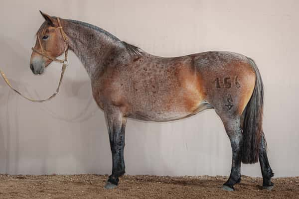 Lote El Cerro Alborada - Cabaña Tacuari