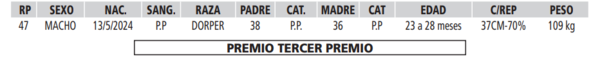 Lote LOTE 19