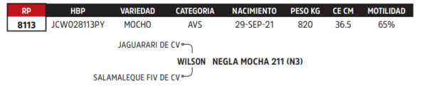 Lote LOTE 59