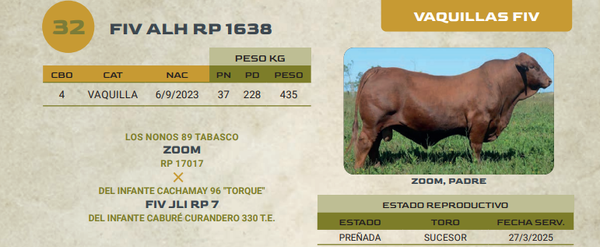 Lote LOTE 32