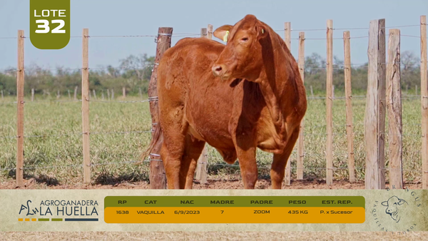 Lote LOTE 32