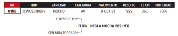 Lote LOTE 20