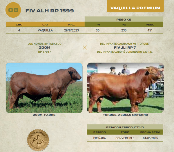 Lote LOTE 8