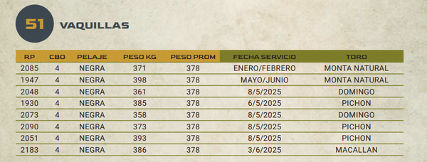 Lote LOTE 51