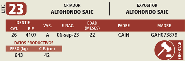 Lote LOTE 23