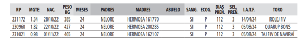 Lote LOTE 8