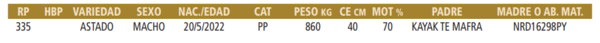 Lote LOTE 12