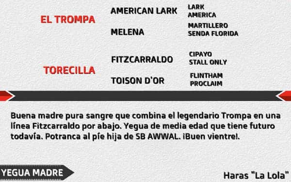 Lote LL TORRETROM