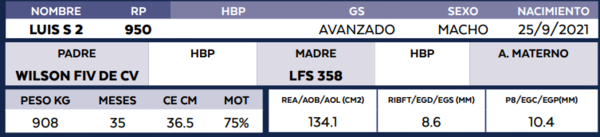 Lote LOTE 66