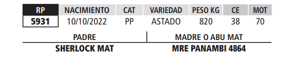 Lote LOTE 55