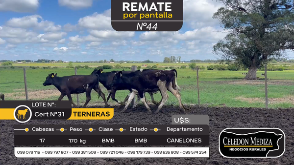 Lote 17 Terneras en Santa Lucía del Este, Canelones