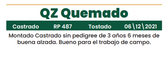 Lote LOTE 17