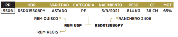 Lote LOTE 42