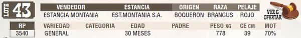 Lote LOTE 43 - EN VIVO