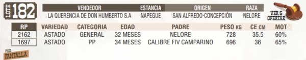 Lote LOTE 182