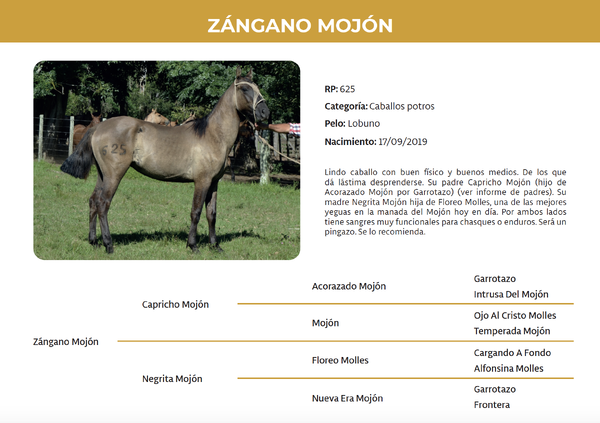 Lote Zángano Mojón (RP 625)