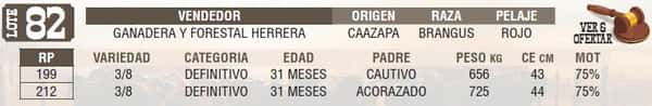 Lote LOTE 82 - EN VIVO