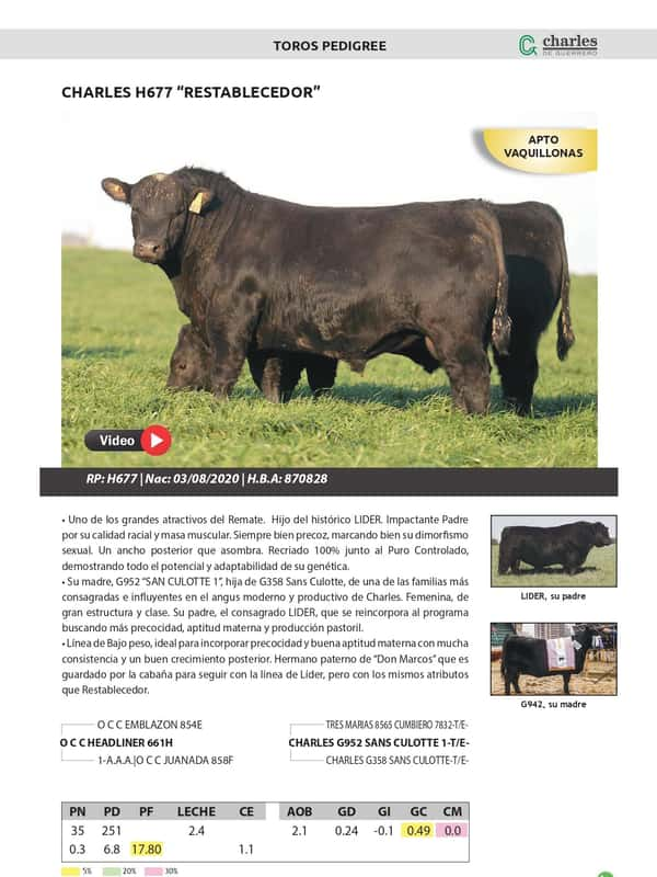 Lote TOROS PEDIGREE