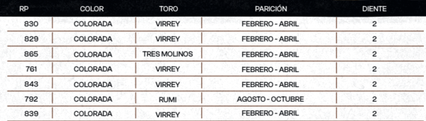 Lote "TRES MOLINOS" Vaquillas Controladas Preñadas