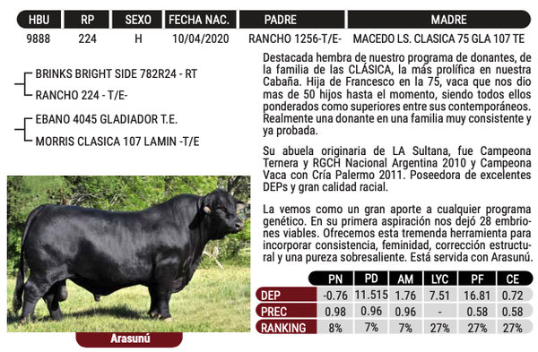 Lote "CABAÑA MACEDO" - MACEDO L S FRANCESCO 224 GLADIADOR 75 TE