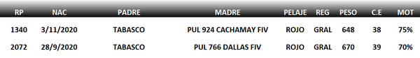 Lote LOTE 32