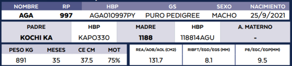 Lote LOTE 10