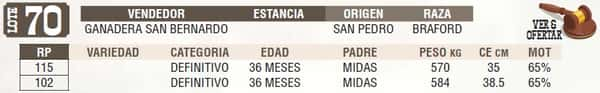 Lote LOTE 70 - EN VIVO