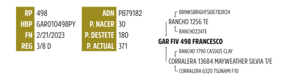 Lote LOTE 5