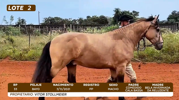 Lote LOTE 2- BOZAL