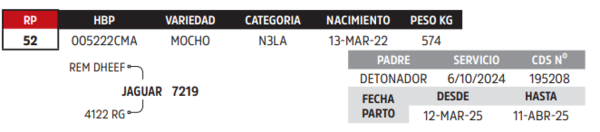 Lote LOTE 52