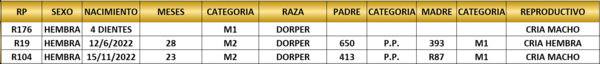 Lote LOTE 20